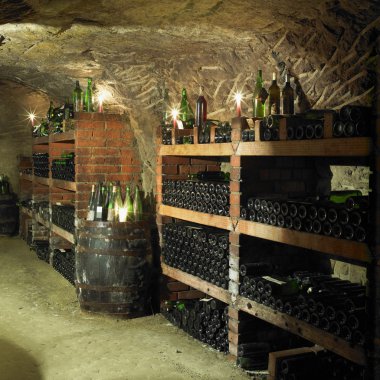 Wine cellar, Czech Republic clipart
