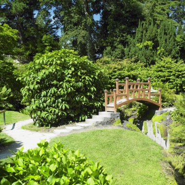 Japanese Garden clipart