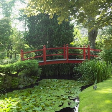 Japanese Garden, Tully clipart