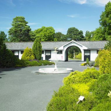 Ulusal stud, tully, county kildare, İrlanda