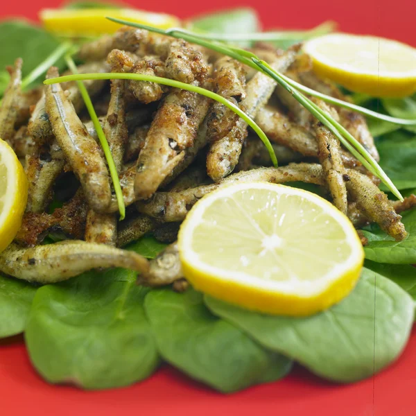 Fried anchovies — Stock Photo, Image