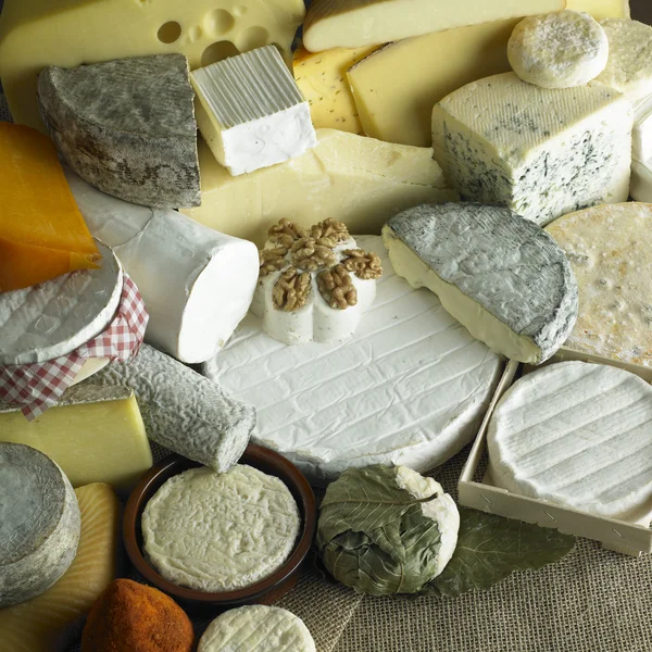 Fromage nature morte — Photo