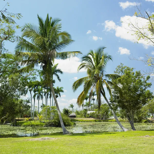 stock image Boca de Guam