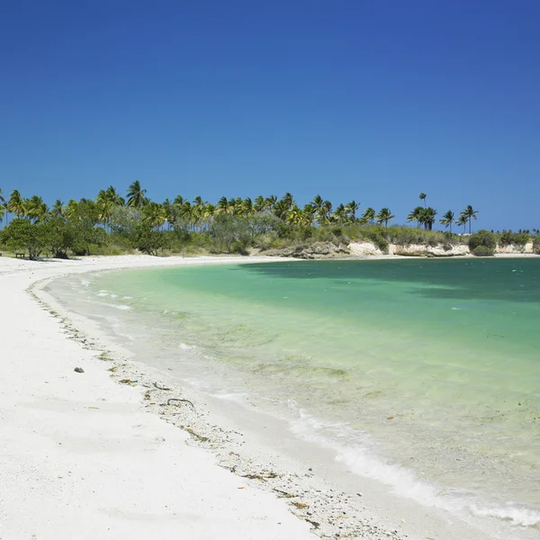 stock image Beach, Bah