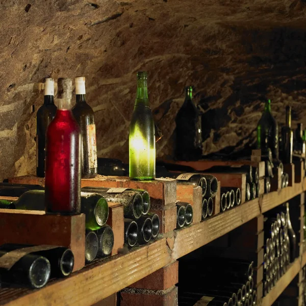 Wijnkelder, bily sklep rodiny adamkovy, chvalovice, Tsjechische repub — Stockfoto