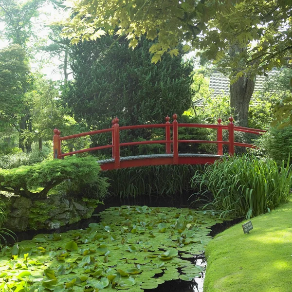 Japonská zahrada, tully — Stock fotografie