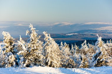 Orlicke Mountains in winter clipart