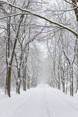 Snowy road clipart