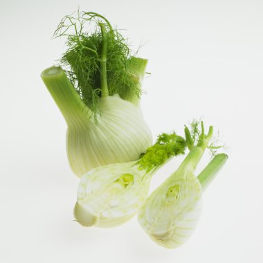 Fennel clipart