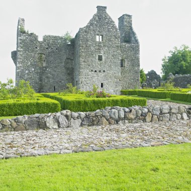 Ruins of Tully Castle clipart