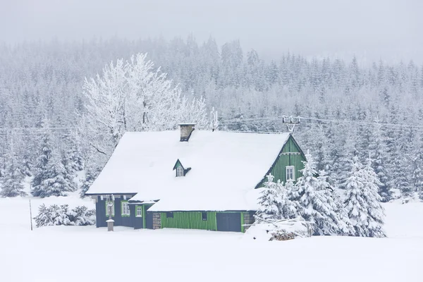 Hytte om vinteren - Stock-foto