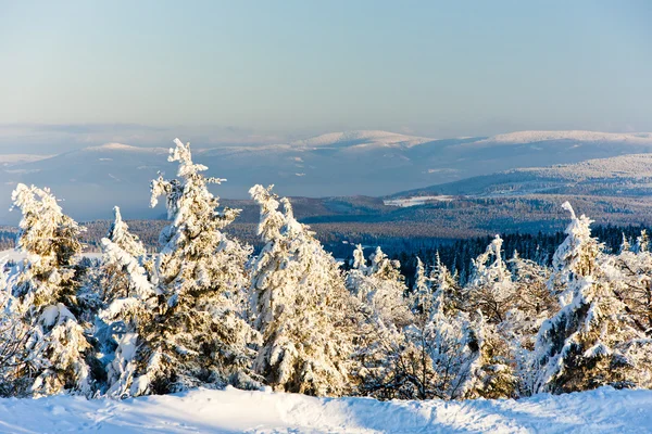 冬の orlicke 山 — ストック写真