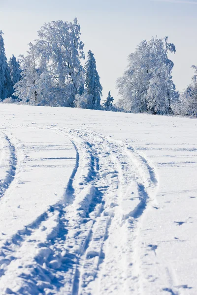 Gór Orlickich w zimie — Zdjęcie stockowe