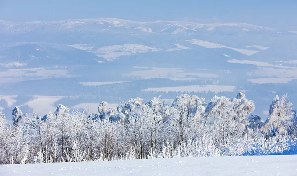 Jeseniky βουνά το χειμώνα — Φωτογραφία Αρχείου