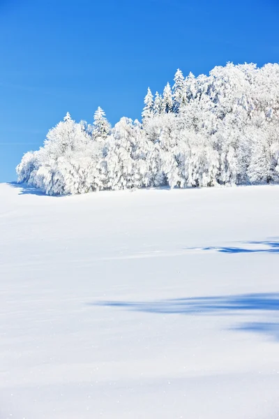 耶塞尼克山山脉的冬天 — 图库照片