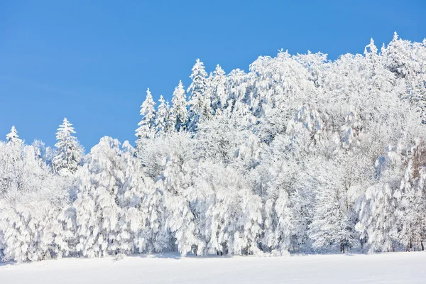 Jeseniky Montagne in inverno — Foto Stock