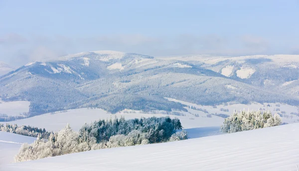 stock image Jeseniky Mountains in winter