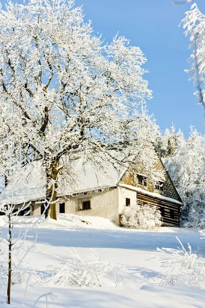 Chalet en hiver — Photo