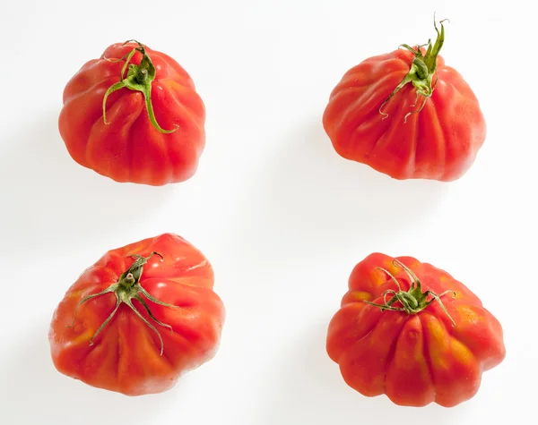 Tomaten — Stockfoto