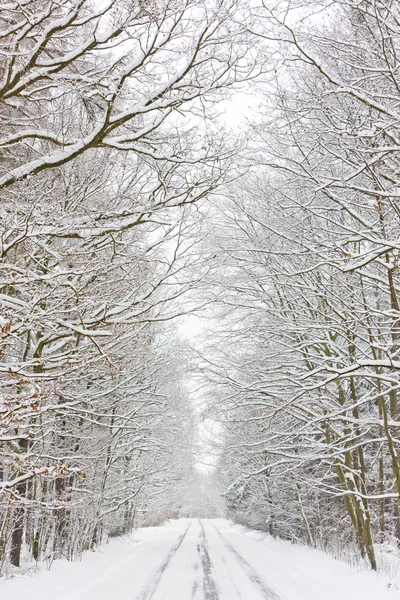 Snöig väg — Stockfoto