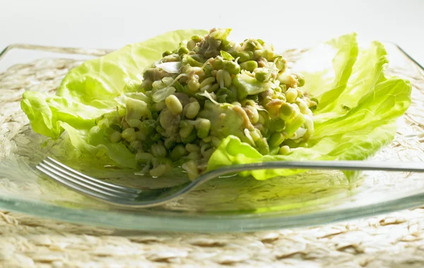Salad with baby mungo — Stock Photo, Image