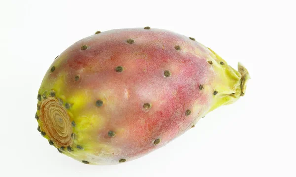 Cactus pear — Stock Photo, Image