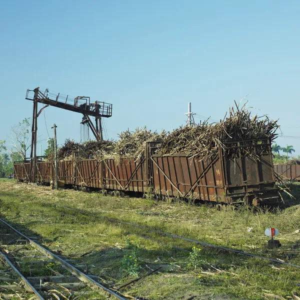 Vozy plné cukrové třtiny, cukru, železnice, niquero, Kuba — Stock fotografie