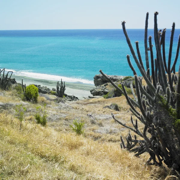 海岸線は、カリブ海、guant — ストック写真