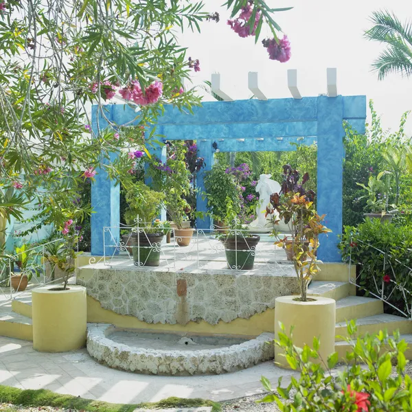 Garden, Cayo Coco, Ciego de — Stock Photo, Image
