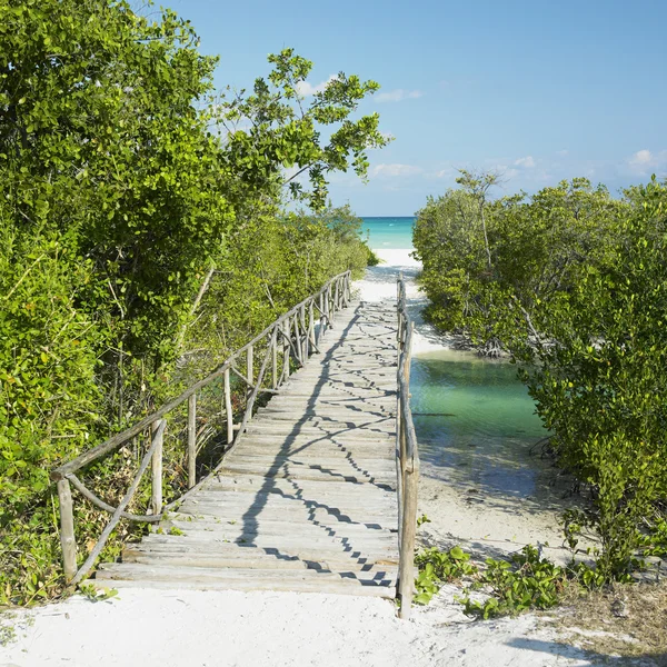 Sentiero verso la spiaggia di Larga, Cayo Coco, Cuba — Foto Stock