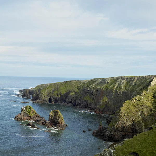 海岸爱尔兰 — 图库照片