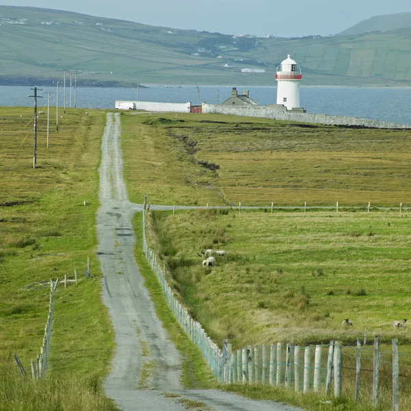 Deniz feneri, kefal Yarımadası, county mayo, İrlanda — Stok fotoğraf