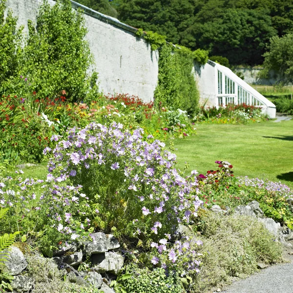 Tullynally 성곽 정원, 군 westmeath, 아일랜드 — 스톡 사진