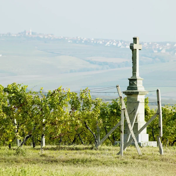 Cruz com vinha, Morávia do Sul, República Checa — Fotografia de Stock