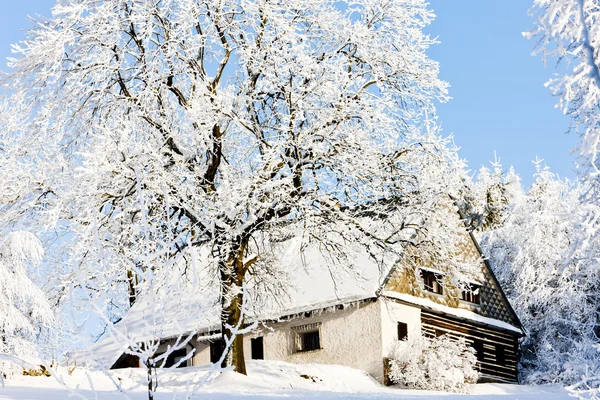 Vakantiehuis in de winter Stockfoto