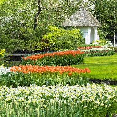 Keukenhof Gardens clipart