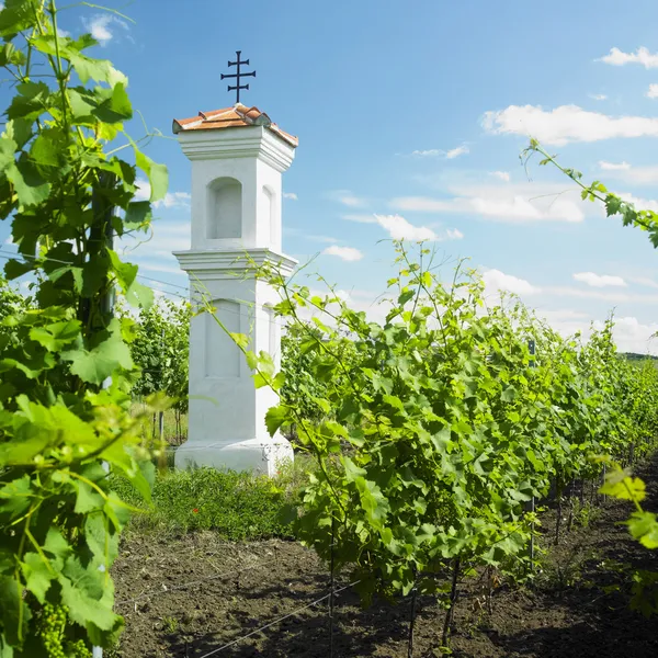 Dorfkapelle mit Weinberg in der Nähe von Perna, Tschechische Republik — Stockfoto