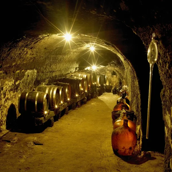 Cave à vin — Photo