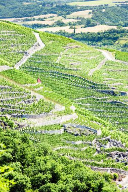 Grand cru üzüm bağları, Fransa