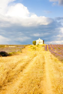 Chapel with lavender field clipart