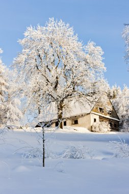 Cottage in winter clipart