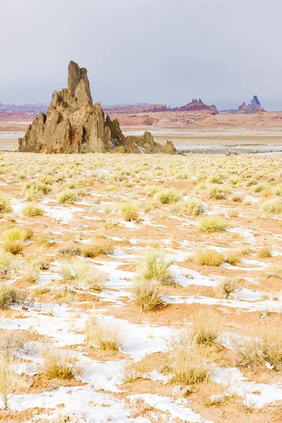 Winter landscape of Arizona, USA — Stock Photo, Image