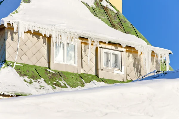 Masarykova 코 티 지, 겨울, 체코 공화국에 있는 orlicke 산 — 스톡 사진