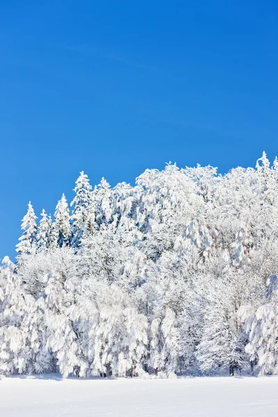 Jesionikach w zimie — Zdjęcie stockowe