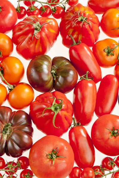 Натюрморт з помідорами — стокове фото