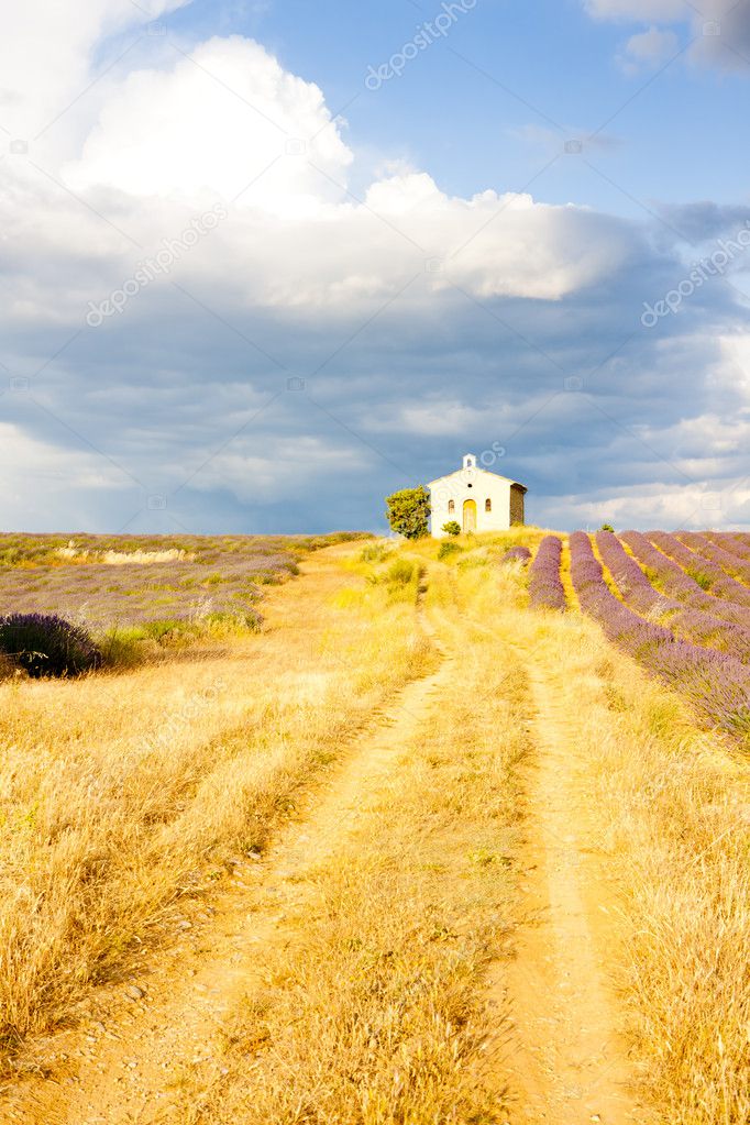 Chapel with lavender field