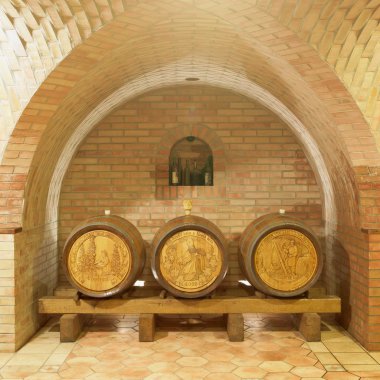 şarap mahzeni, sidleny, livi dubnany, Çek Cumhuriyeti