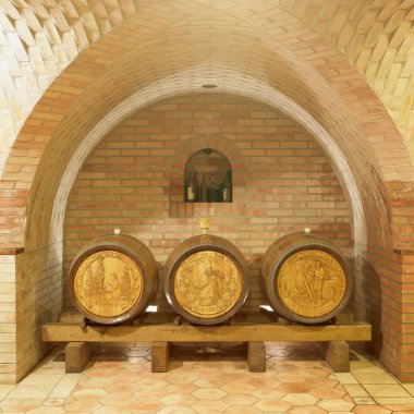 Wine cellar, Sidleny, Livi Dubnany, Czech Republic clipart