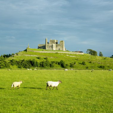 Rock of Cashel, County Tipperary, İrlanda