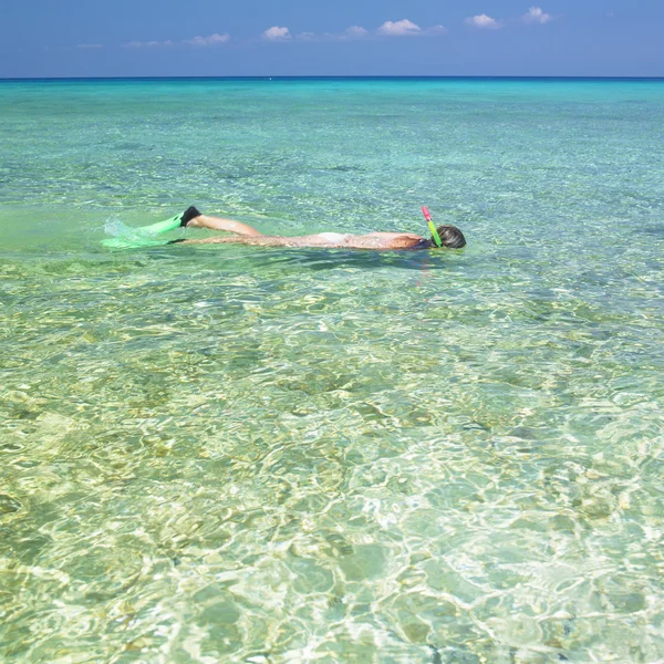 Snorkeling, Mar — Stock Photo, Image